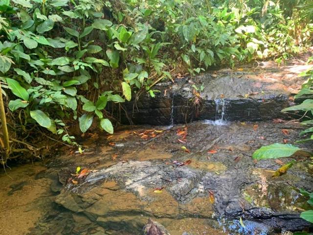 خانه 1 خوابه, Private Jungle “loft Del Rio” River Access