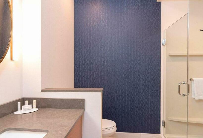 Студио Стандарт Кровать Кинг, Fairfield Inn & Suites By Marriott Fair Oaks Farms