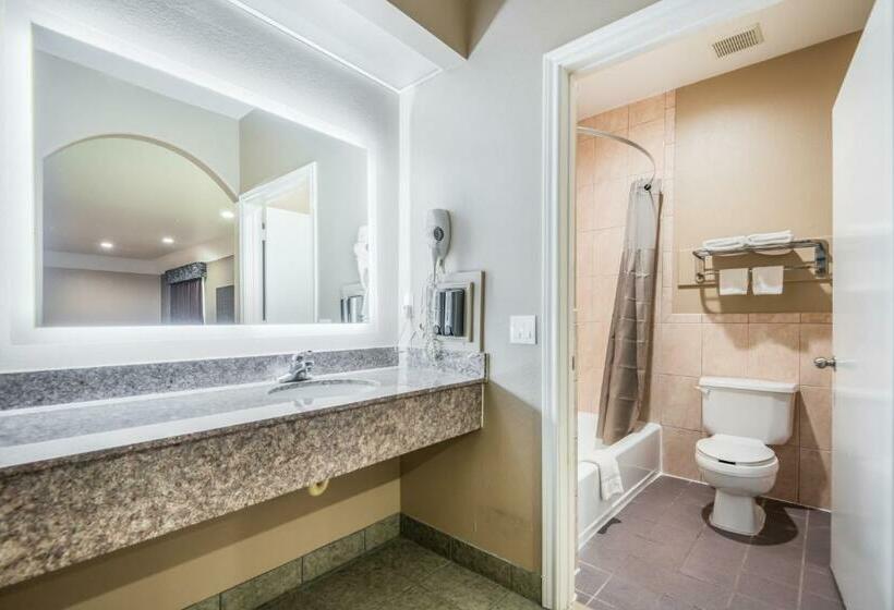 Standard Szoba King Size Bed, Scottish Inns & Suites Iah Airport   Beltway 8