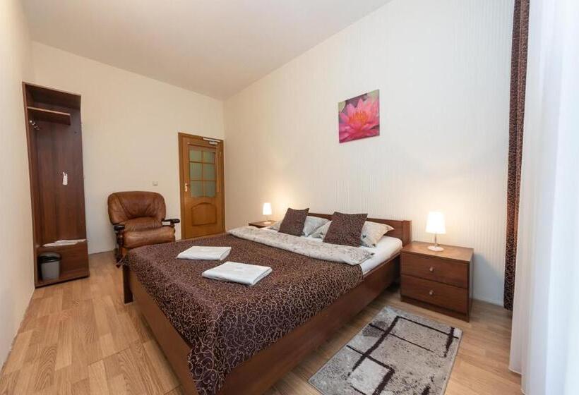 اتاق سوپریور یک تخته, Mini Hotel Guest Residence