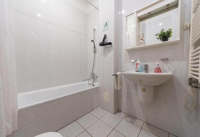 اتاق استاندارد یک تخته با بالکن, Mini Hotel Guest Residence