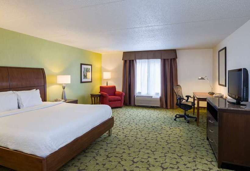 اتاق استاندارد با تخت بزرگ, Hilton Okinawa Sesoko Resort