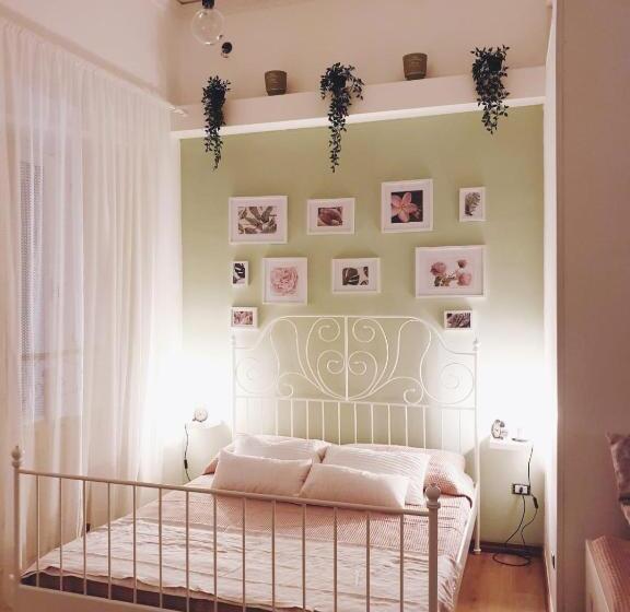 اتاق سوپریور چهار تخته, Mia's Rooms