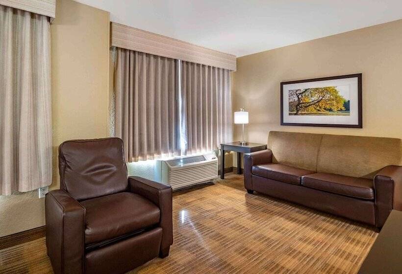 Студия Deluxe, Extended Stay America Suites   Tampa   Airport   N Westshore Blvd