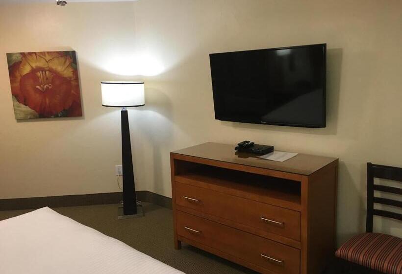Люкс, Hilton Vacation Club Varsity Club Tucson