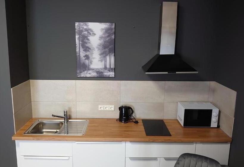 استودیوی استاندارد, Maxim Apartments Mainz