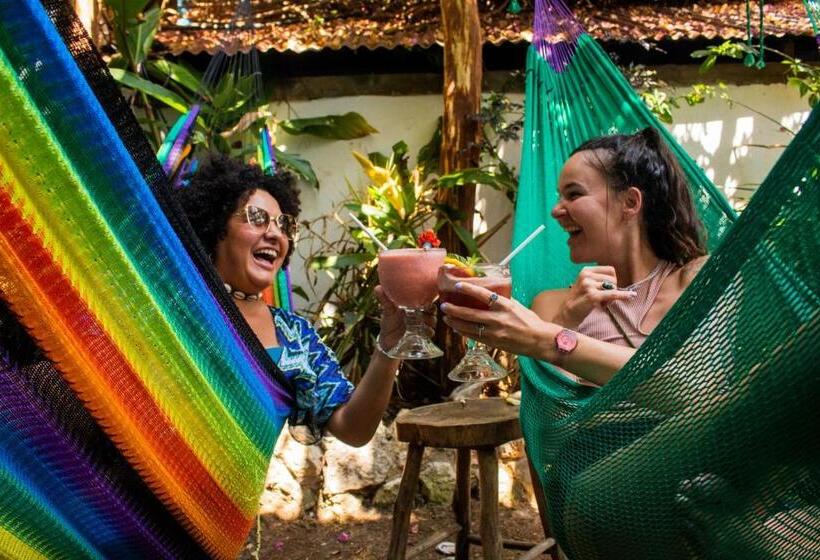 تختخواب در اتاق مشترک, Los Amigos Hostel