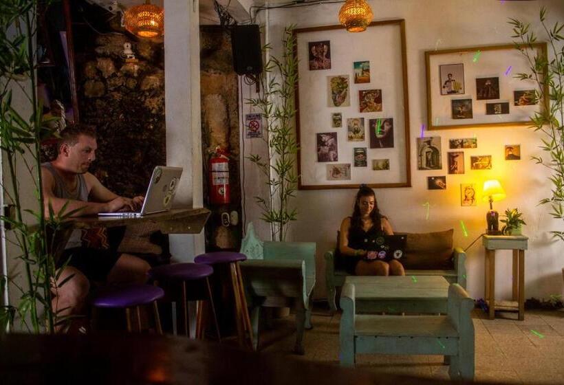 اتاق لوکس, Los Amigos Hostel