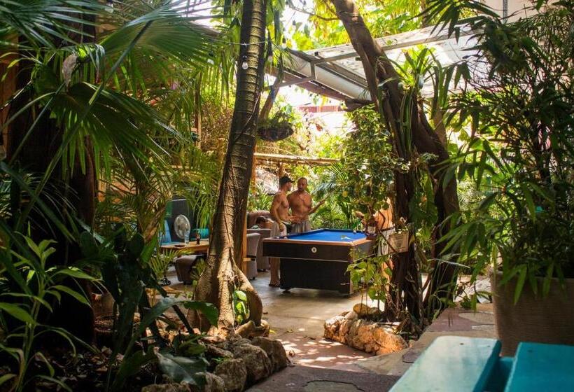 اتاق لوکس, Los Amigos Hostel