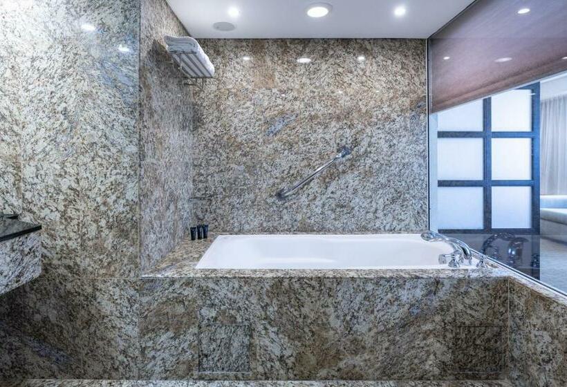 חדר סטנדרט, Eurobuilding Hotel & Suites Caracas