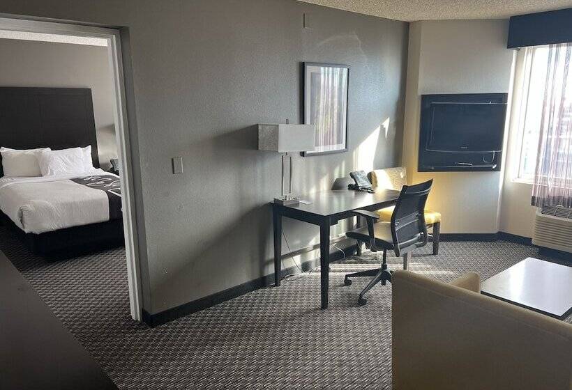 Люкс, La Quinta By Wyndham Denver Englewood Tech Ctr