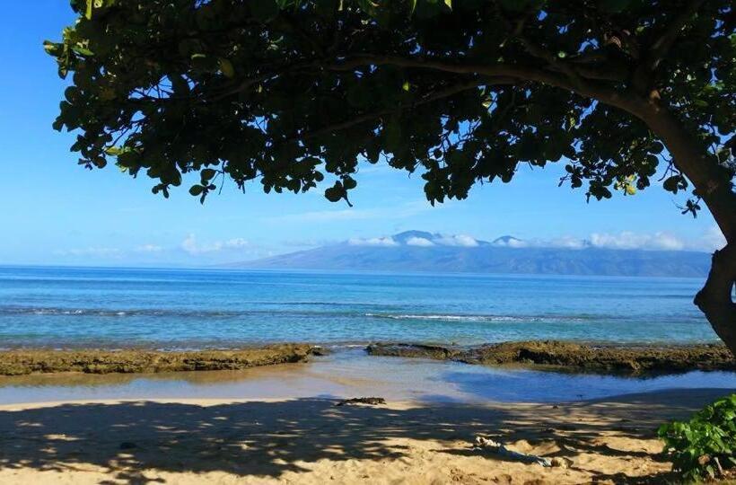 Апартаменты Deluxe 1 Спальня, Lahaina Wonderful Condos