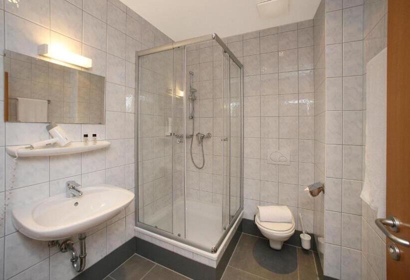 اتاق استاندارد با چشم‌انداز دریاچه, Seehotel Sissi