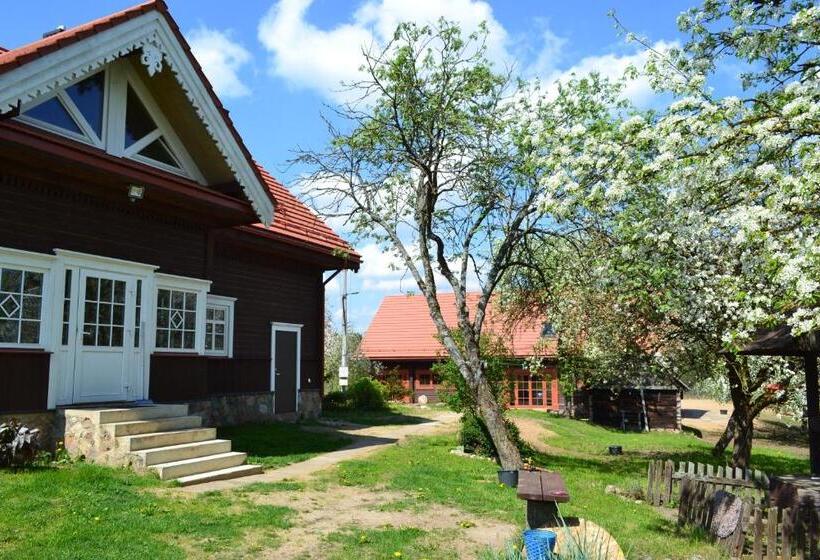 اتاق خانوادگی, Sunny Beaver B&b