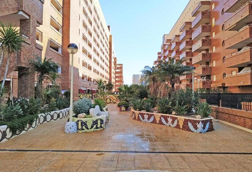 Апартаменты 3 Спальни, Apartamentos Coral   Marfil Marina Dor 3000