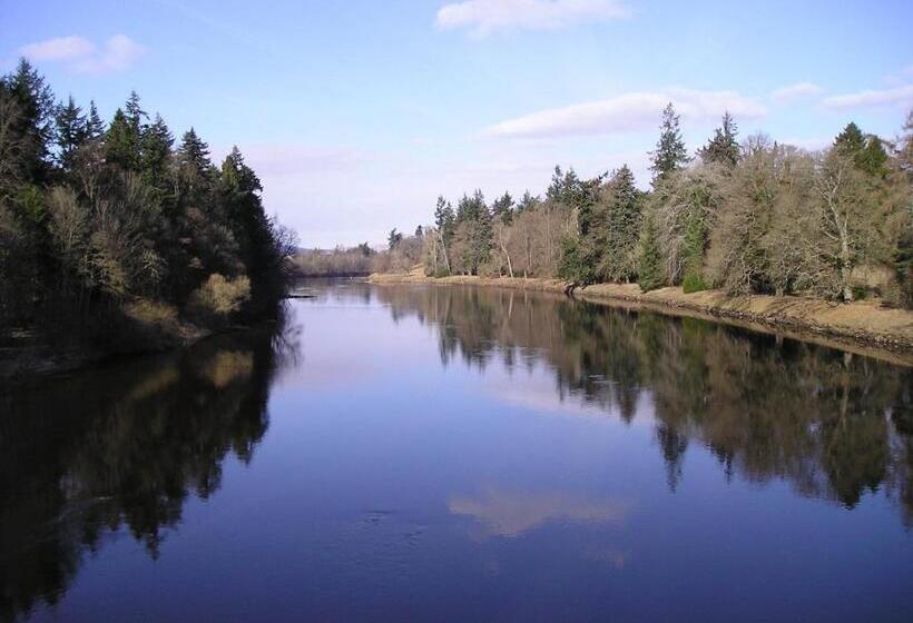 패밀리 룸, Tayside