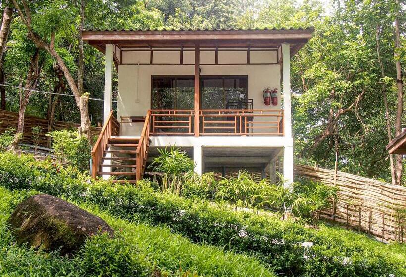 패밀리 방갈로, Chareena Garden