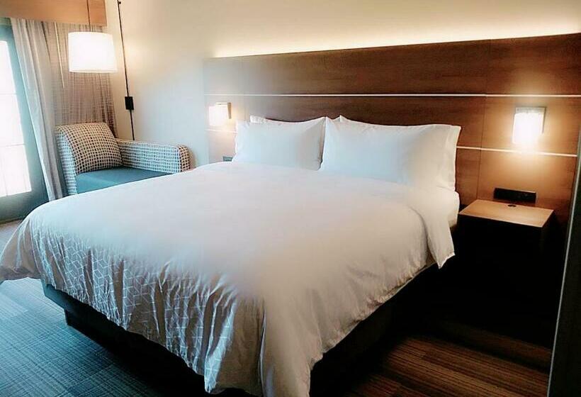 Стандартный Номер Кровать Кинг, Holiday Inn Express Durango Downtown  Animas River