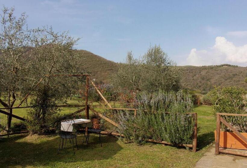 آپارتمان 1 خوابه همکف, Agriturismo Casavecchia