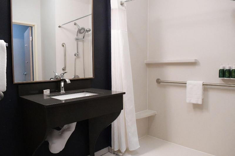 Номер Стандарт, Holiday Inn Express & Suites   Houston Iah   Beltway 8, An Ihg