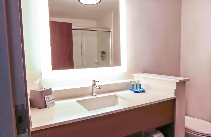 Номер Стандарт Кровать Кинг Адаптированный для Инвалидов, Holiday Inn Express & Suites   Houston Iah   Beltway 8, An Ihg