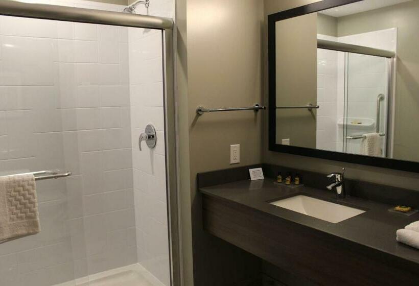 스위트 킹사이즈 침대, Best Western Plus Dauphin