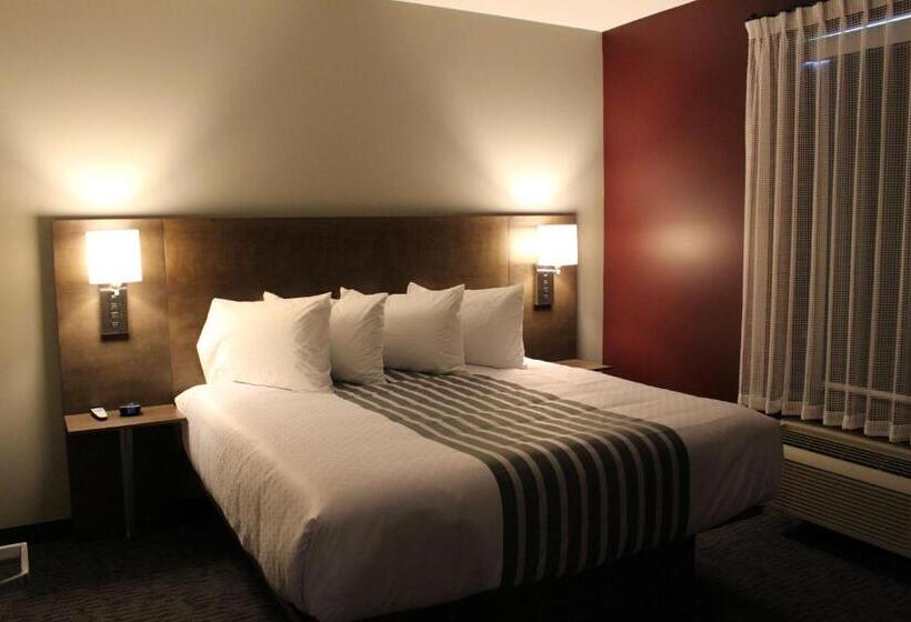 身障者適用キングサイズベッドルーム, Best Western Plus Dauphin