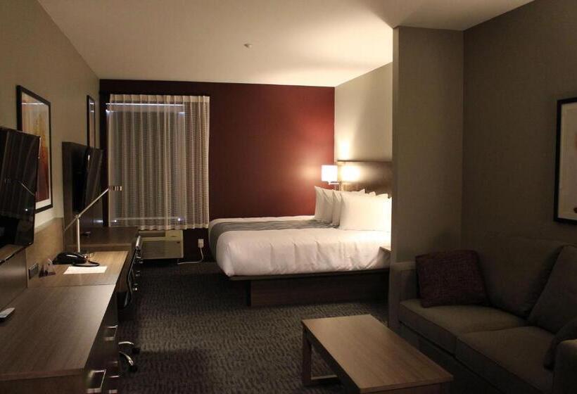 스탠다드 스튜디오 킹침대, Best Western Plus Dauphin