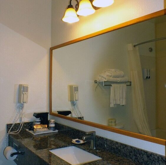 Номер бизнес-класса, Best Western Gold Canyon Inn & Suites