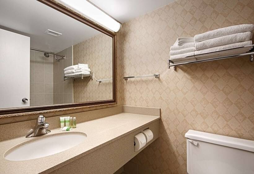 Номер Стандарт 2 Двуспальные Кровати, Best Western North Bay Hotel & Conference Centre