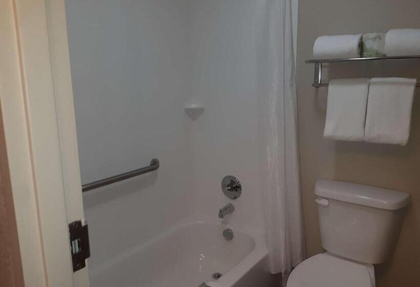 اتاق استاندارد با تخت بزرگ, Best Western Timberridge Inn