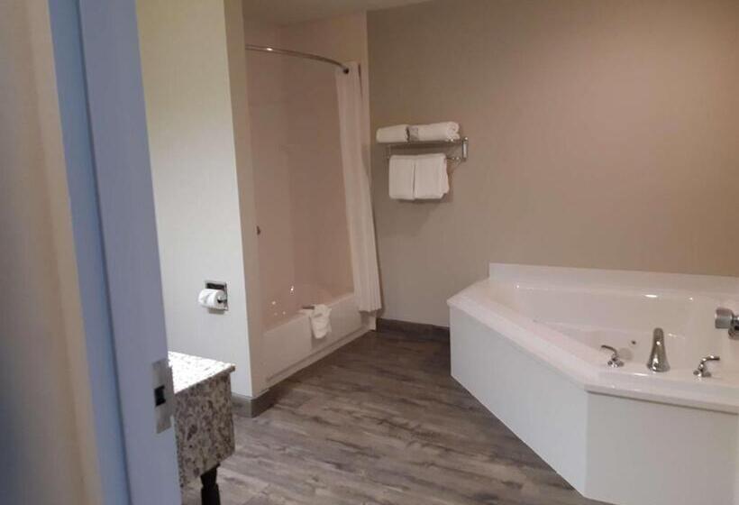 اتاق استاندارد با تخت بزرگ, Best Western Timberridge Inn