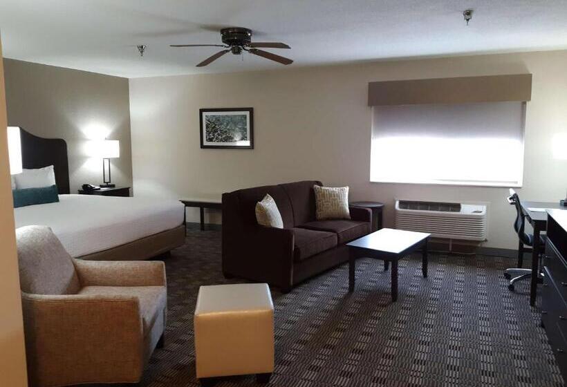 اتاق استاندارد با تخت بزرگ, Best Western Timberridge Inn