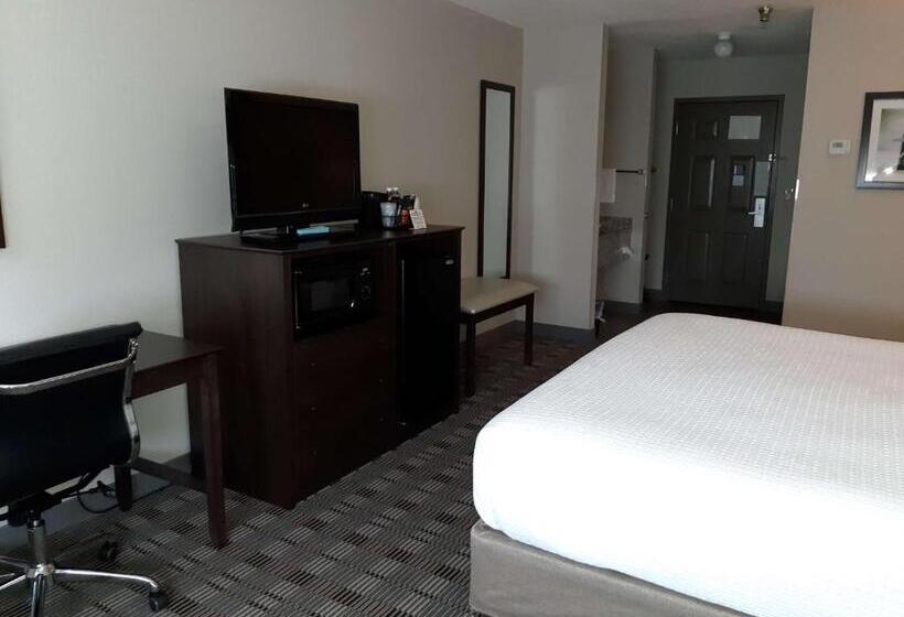 اتاق استاندارد با تخت بزرگ برای معلولان, Best Western Timberridge Inn