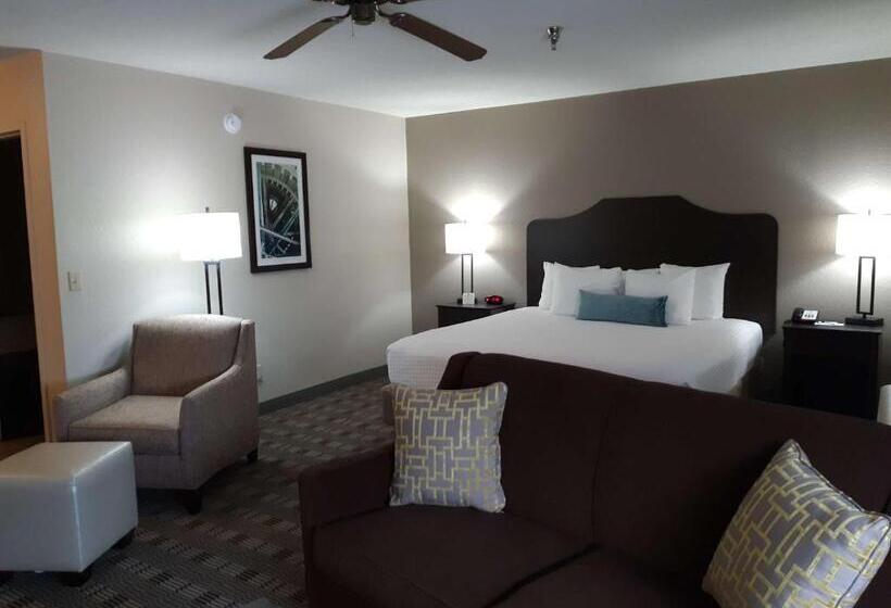 اتاق استاندارد با تخت بزرگ, Best Western Timberridge Inn