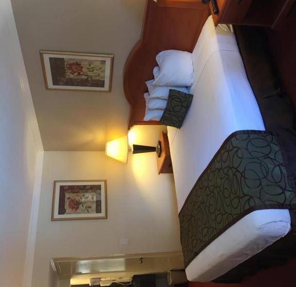 스탠다드 룸 킹사이즈 침대, Chula Vista Inn