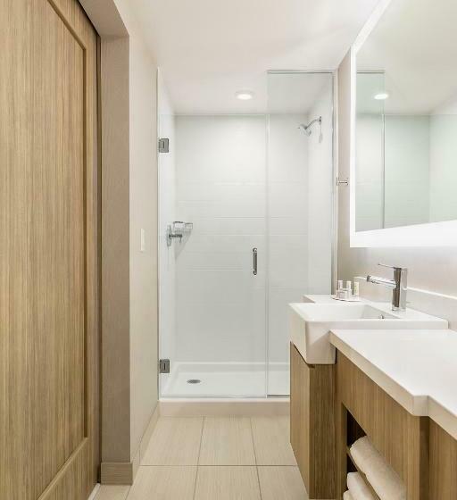 Студио Стандарт Кровать Кинг, Springhill Suites St. Paul Downtown