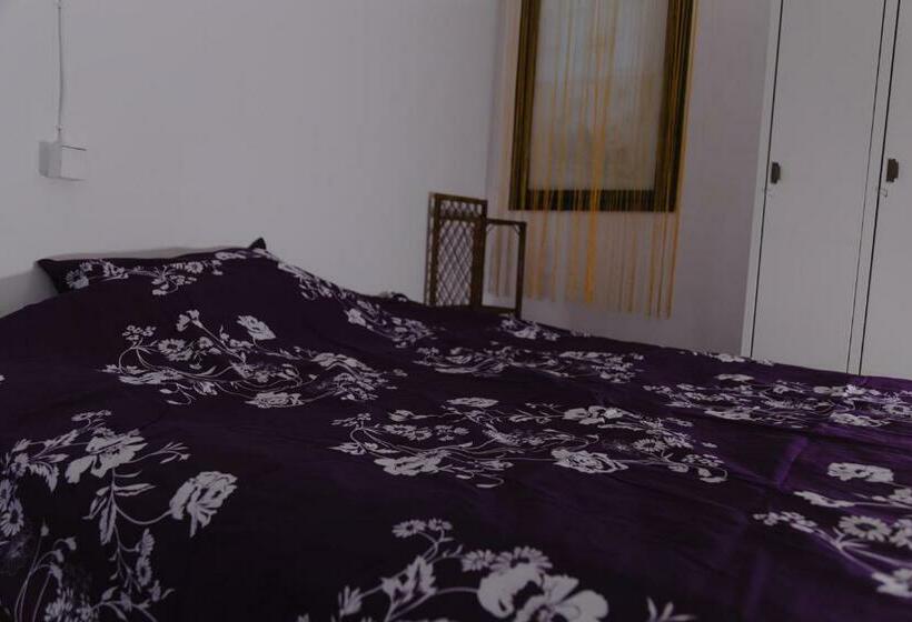 استودیو خانوادگی, Hostel Belgrade Shungit Dragana Jeftića Br 10