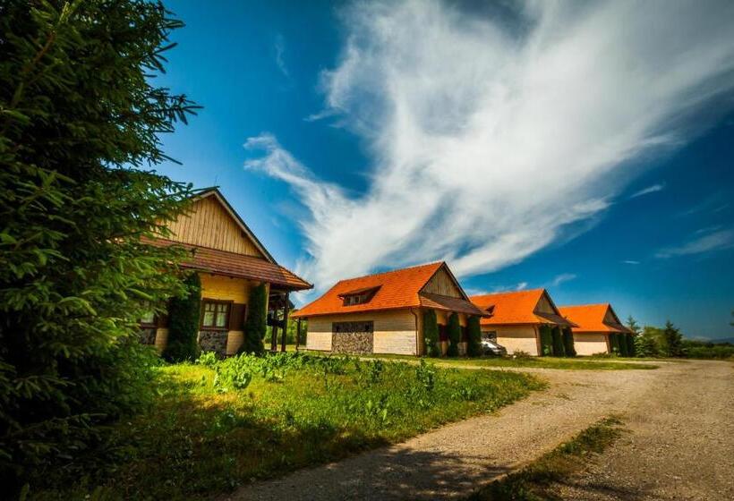 Апартаменты 1 Спальня, Pensiunea Sapte Flori
