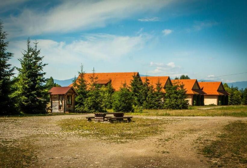 Апартаменты 1 Спальня, Pensiunea Sapte Flori