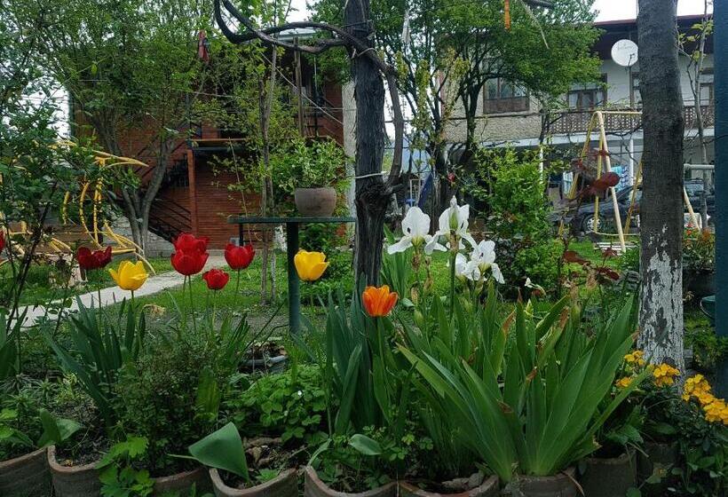 ویلای 1 خوابه با چشم‌انداز باغ, Guest House Villa