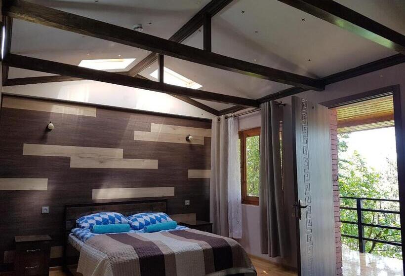 ویلای 1 خوابه با چشم‌انداز باغ, Guest House Villa