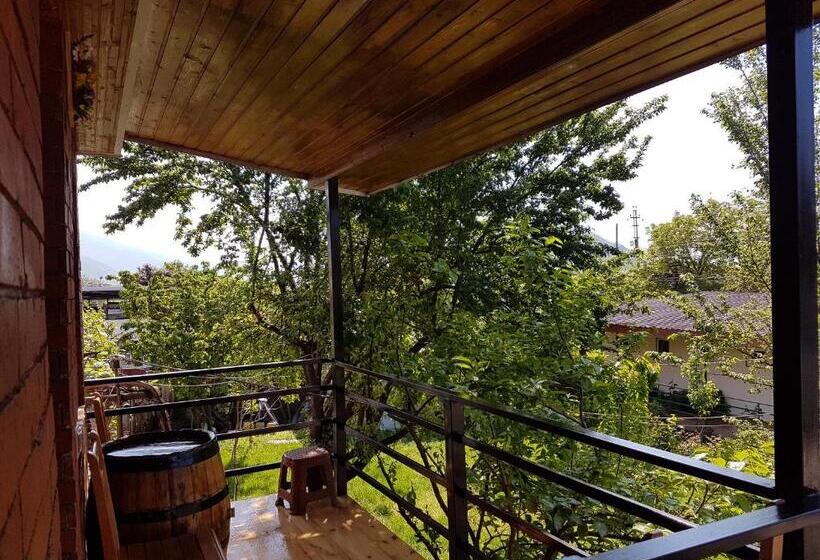 ویلای 1 خوابه با چشم‌انداز باغ, Guest House Villa
