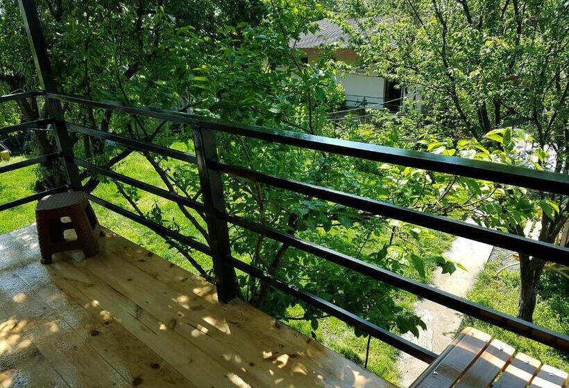 ویلای 1 خوابه با چشم‌انداز باغ, Guest House Villa