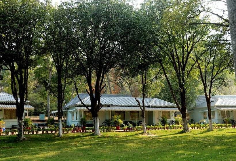 Люкс, Greendale Resort