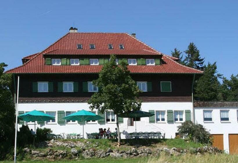 스탠다드 싱글 룸, Höhengasthof Wanderheim Nägelehaus