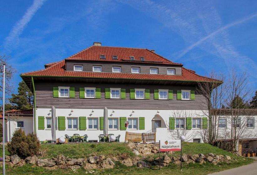 스탠다드 싱글 룸, Höhengasthof Wanderheim Nägelehaus