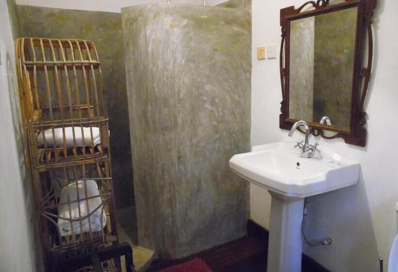 Quarto Triplo Deluxe, The Dream House