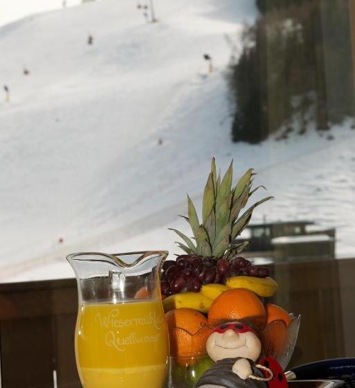 Апартаменты 1 Спальня с Видом, Am Zwölferkogel Appartements