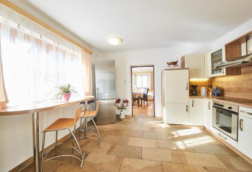 Апартаменты 1 Спальня, Am Zwölferkogel Appartements